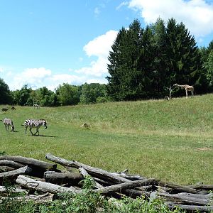 Wild Africa - 18-Acre Savanna