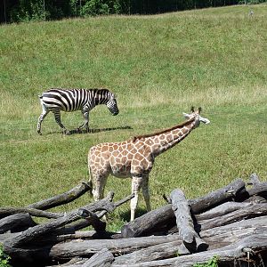 Wild Africa - 18-Acre Savanna