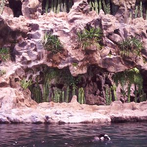 Penguin Enclosure - Loro Parque 2008