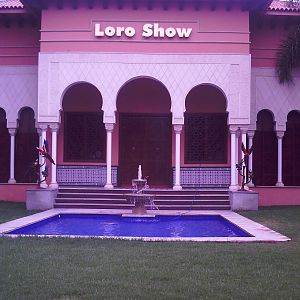 Outside the Parrot Show Hall - Loro Parque 2008