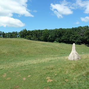 Wild Africa - 18-Acre Savanna