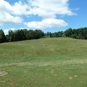 Wild Africa - 18-Acre Savanna