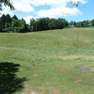 Wild Africa - 18-Acre Savanna