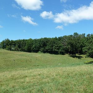 Wild Africa - 18-Acre Savanna