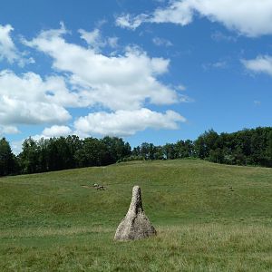 Wild Africa - 18-Acre Savanna