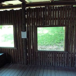Wild Africa - African Wild Dog Exhibit - Viewing Windows