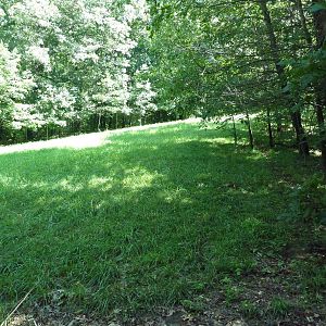 Wild Africa - African Wild Dog Exhibit