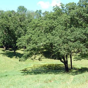 Wild Africa - 18-Acre Savanna