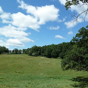 Wild Africa - 18-Acre Savanna