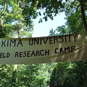 Wild Africa - Field Research Camp Sign