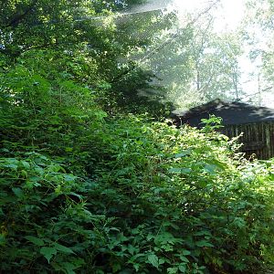 Wild Africa - Walk-Through Forest Aviary