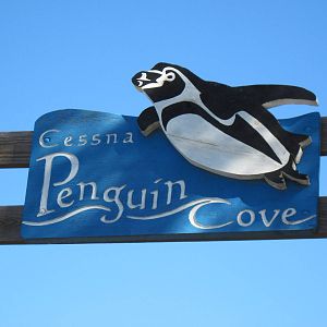 Penguin Cove-Signage