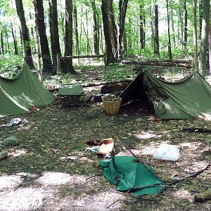 Wild Africa - Safari Campground