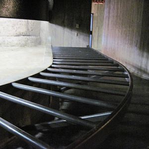Reptile House-Aldabra Giant Tortoise
