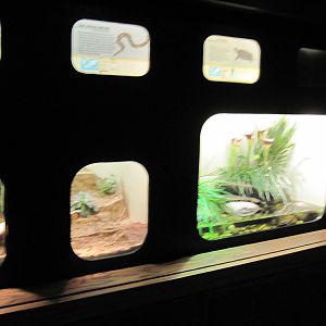 Reptile House-Terrariums