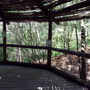 Wild Africa - Black Mangabey/Colobus Monkey Exhibit