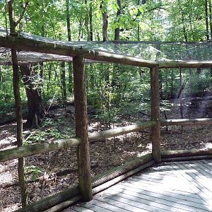 Wild Africa - Aviary