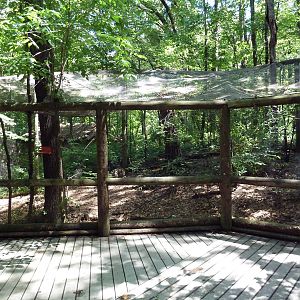 Wild Africa - Aviary