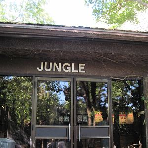Jungle Building