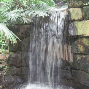 Jungle-Waterfall