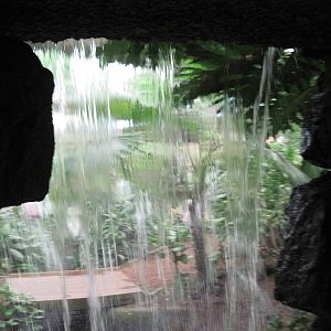 Jungle-Waterfall