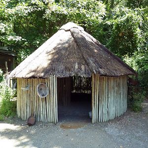 Wild Africa - Forest Farm