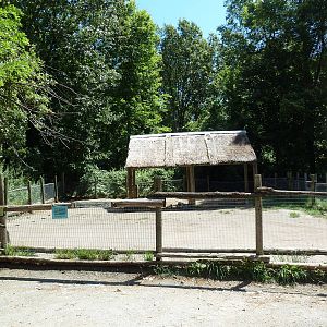 Wild Africa - Forest Farm - Pygmy Goat Pen