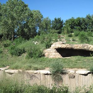 North America-Grizzly Bear Exhibit
