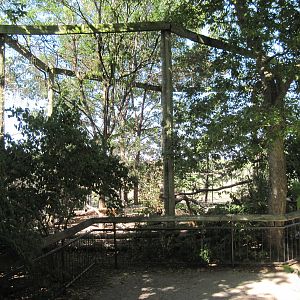 North America-Bald Eagle Exhibit