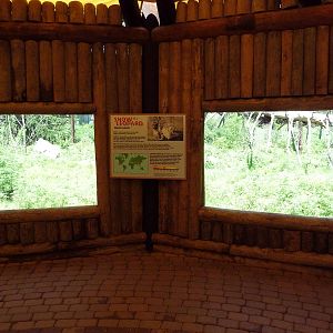 Snow Leopard Exhibit