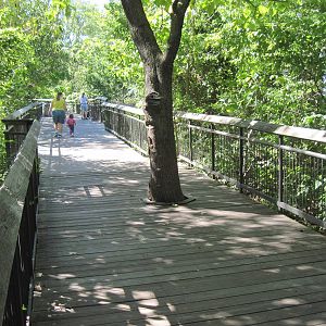 North America-Boardwalk