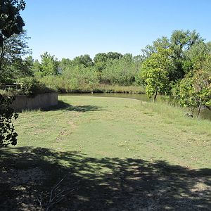 North America-Pronghorn/Sandhill Crane Exhibit