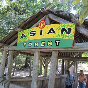 Asian Forest-Signage