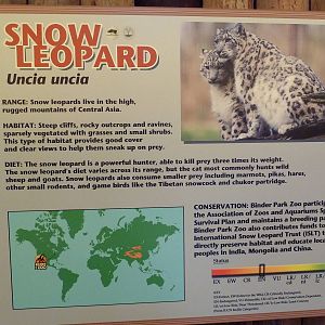 Snow Leopard Exhibit - Signage