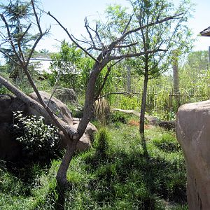 Tiger Trek-Red Panda Exhibit