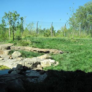Tiger Trek-Tiger Exhibit
