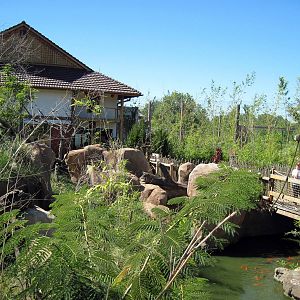 Tiger Trek-Red Panda