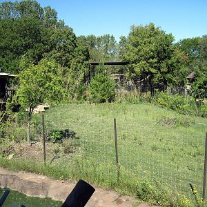 Tiger Trek-Eld's Deer Exhibit