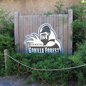 Gorilla Forest-Signage
