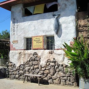 Gorilla Forest-Nganda Island