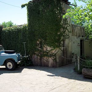 Gorilla Forest-Nganda Island