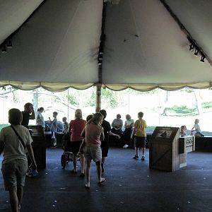 Gorilla Forest-Eastern Gorilla Viewing Area