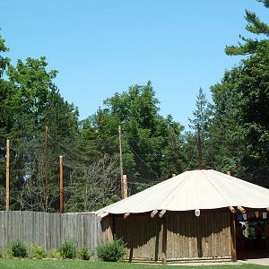 Snow Leopard Exhibit