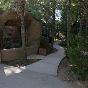 bobcat exhibit - Arizona trail