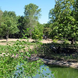 African Veldt-Abyssinian Ground Hornbill/Slender-horned Gazelle Exhibit