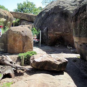 Pride of the Plains-Meerkat Exhibit