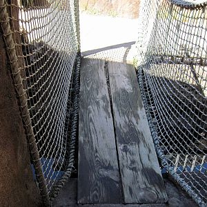 Pride of the Plains-Bridge