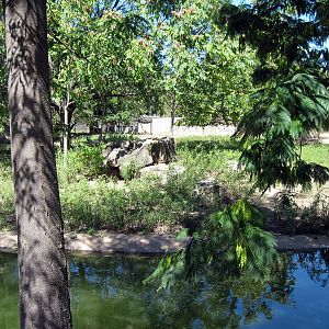 Pride of the Plains-Wild Dog Exhibit