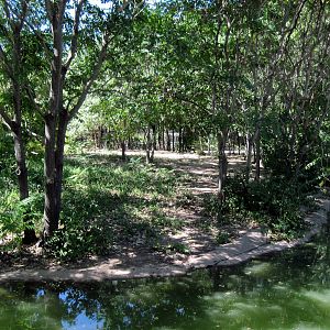 African Veldt-Egyptian Goose/Bontebok Exhibit