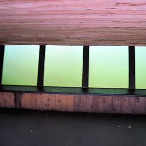 African Veldt-Nile Hippopotamus Underwater Viewing